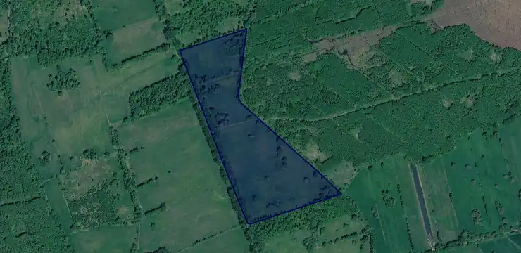 Działka na sprzedaż - WIELKOPOLSKIE, grodziski, Kamieniec, Sepienko 88/2