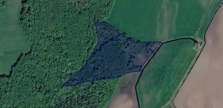 Działka na sprzedaż - WARMIŃSKO-MAZURSKIE, braniewski, Braniewo, Rodowo 160