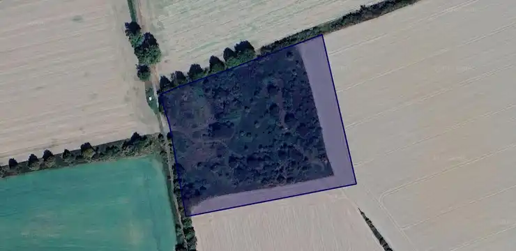 Działka na sprzedaż - OPOLSKIE, prudnicki, Głogówek, Rozkochów 388/32