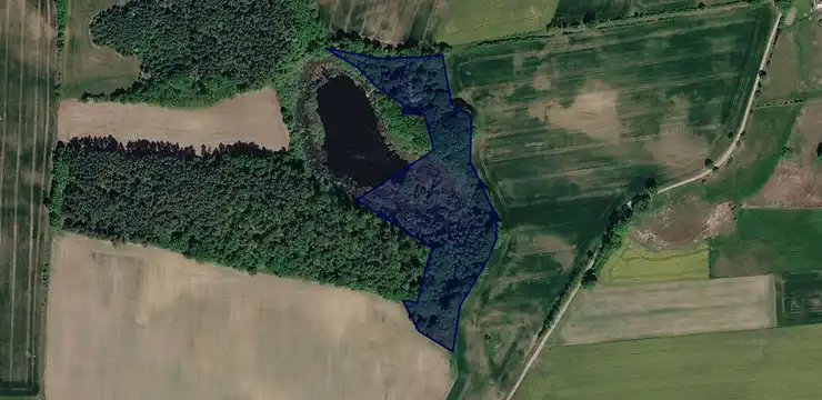 Działka na sprzedaż - LUBUSKIE, międzyrzecki, Bledzew, Nowa Wieś 509/7