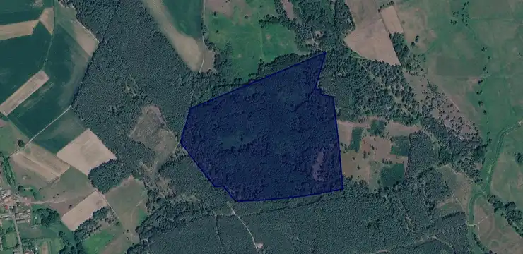 Działka na sprzedaż - LUBUSKIE, żarski, Brody, Grodziszcze 128