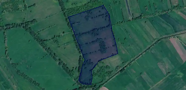 Działka na sprzedaż - WIELKOPOLSKIE, grodziski, Kamieniec, Sepno 88/3