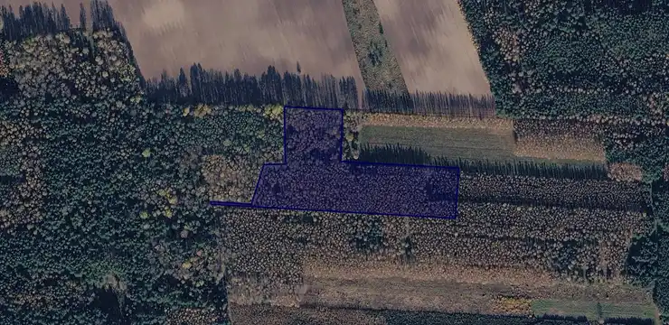 Działka na sprzedaż - PODLASKIE, hajnowski, Kleszczele, Suchowolce 170/3