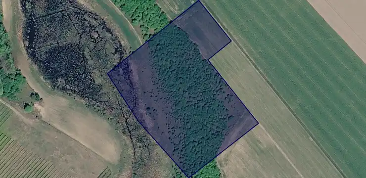 Działka na sprzedaż - POMORSKIE, człuchowski, Debrzno, Uniechów 40/1