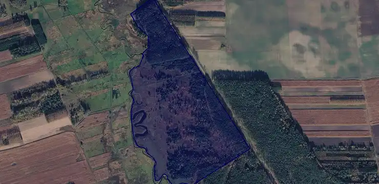 Działka na sprzedaż - PODLASKIE, bielski, Orla, 1001