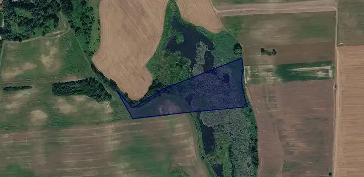 Działka na sprzedaż - ZACHODNIOPOMORSKIE, myśliborski, Boleszkowice, Gudzisz 149/1