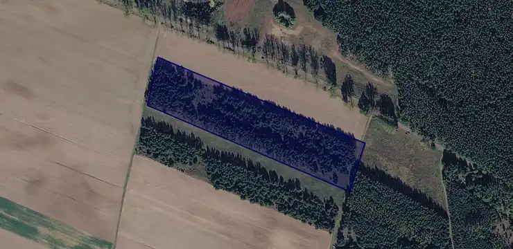 Działka na sprzedaż - LUBUSKIE, międzyrzecki, Międzyrzecz, Szumiąca 45