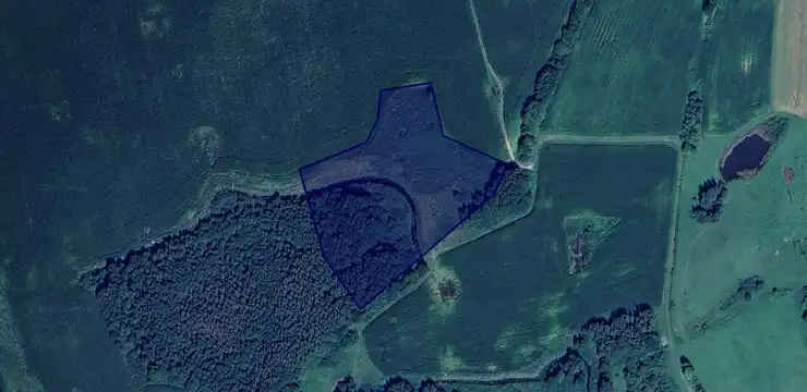 Działka na sprzedaż - WARMIŃSKO-MAZURSKIE, braniewski, Pieniężno, Borowiec 40/3