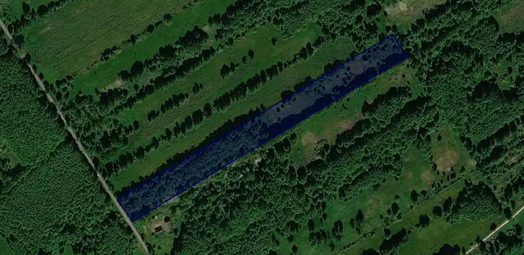 Działka na sprzedaż - LUBUSKIE, strzelecko-drezdenecki, Zwierzyn, Brzezinka 82
