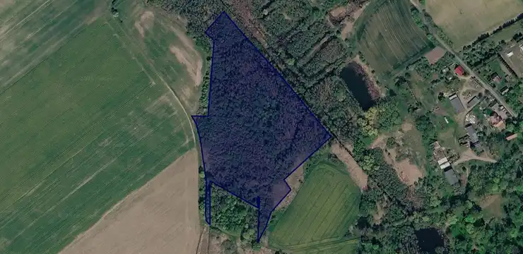 Działka na sprzedaż - ZACHODNIOPOMORSKIE, myśliborski, Barlinek, Dzikowo 6/4