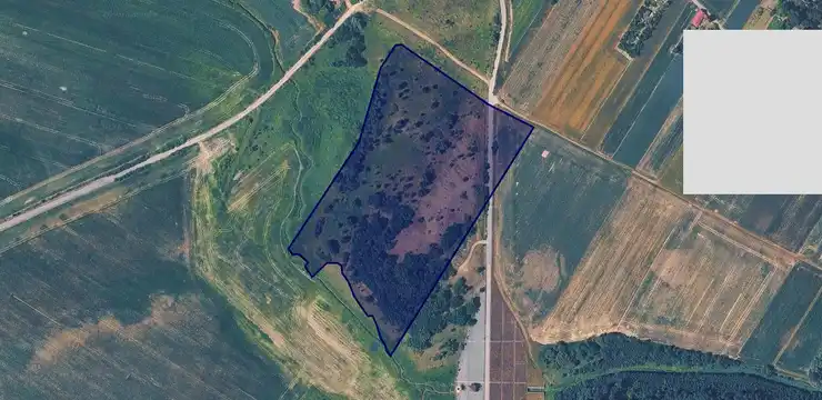 Działka na sprzedaż - OPOLSKIE, głubczycki, Branice, Włodzienin 1303