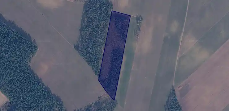 Działka na sprzedaż - WARMIŃSKO-MAZURSKIE, nidzicki, Kozłowo, Szymany 113