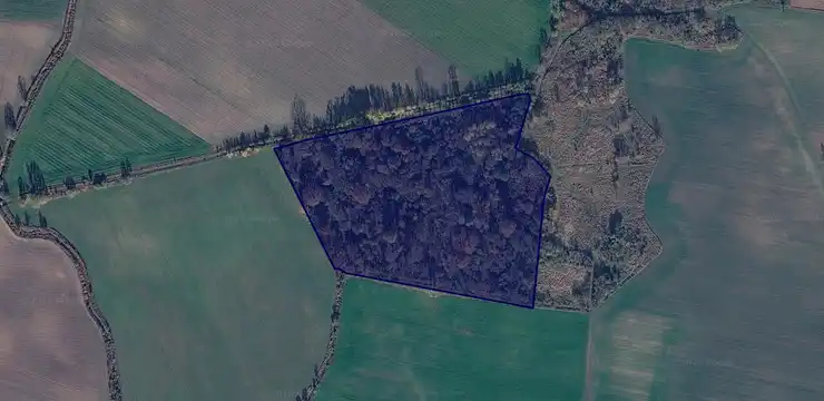 Działka na sprzedaż - WIELKOPOLSKIE, wągrowiecki, Skoki, Jabłkowo-Pomarzanki 28/1