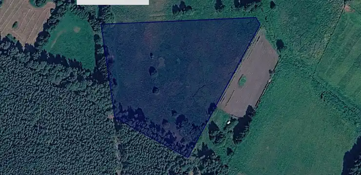 Działka na sprzedaż - LUBUSKIE, krośnieński, Dąbie, Trzebule 216/3