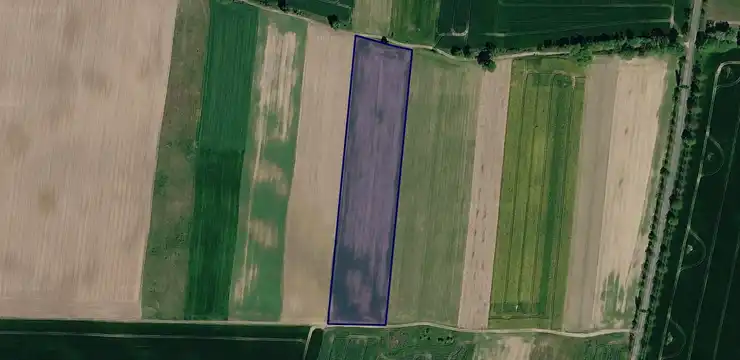 Działka na sprzedaż - ZACHODNIOPOMORSKIE, gryfiński, Chojna, Nawodna 836