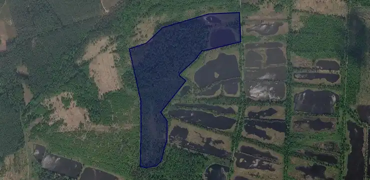 Działka na sprzedaż - WIELKOPOLSKIE, obornicki, Ryczywół, Ludomicko 208