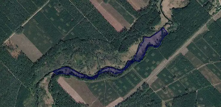 Działka na sprzedaż - POMORSKIE, człuchowski, Czarne, Nadziejewo 267