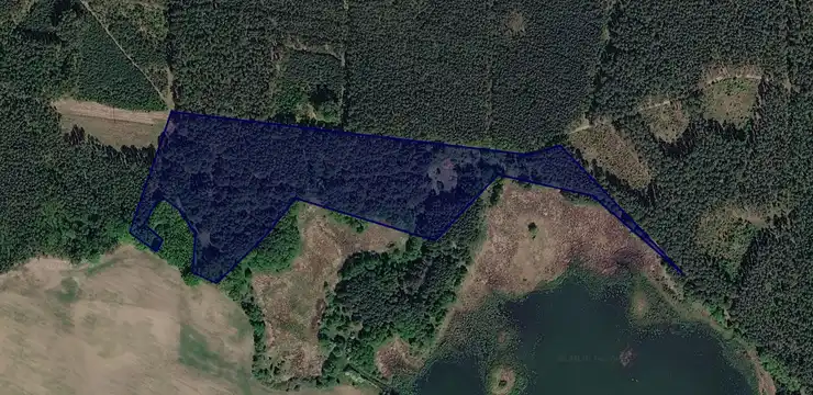 Działka na sprzedaż - LUBUSKIE, międzyrzecki, Bledzew, 1060/7