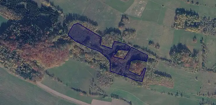 Działka na sprzedaż - DOLNOŚLĄSKIE, kamiennogórski, Marciszów, Pastewnik 292/7