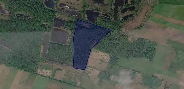 Działka na sprzedaż - WIELKOPOLSKIE, obornicki, Ryczywół, Ludomicko 222