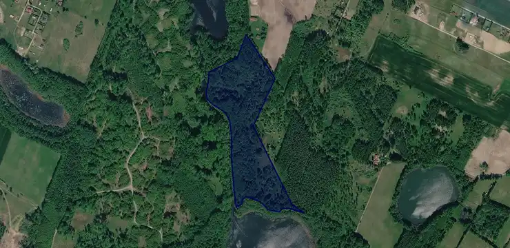 Działka na sprzedaż - WARMIŃSKO-MAZURSKIE, ostródzki, Miłomłyn, Winiec 93/4