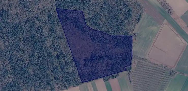 Działka na sprzedaż - MAZOWIECKIE, łosicki, Huszlew, Mostów 498
