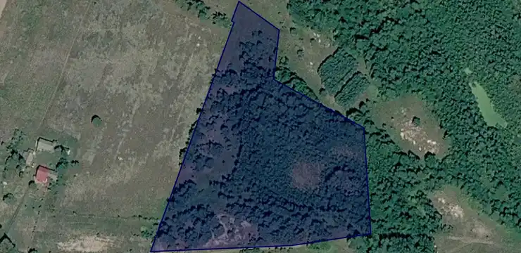Działka na sprzedaż - LUBELSKIE, łęczyński, Milejów, Białka Kolonia 908