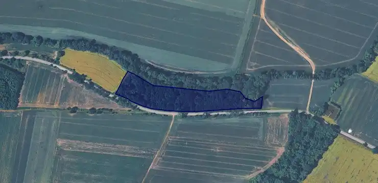 Działka na sprzedaż - OPOLSKIE, głubczycki, Branice, Włodzienin 1093/3