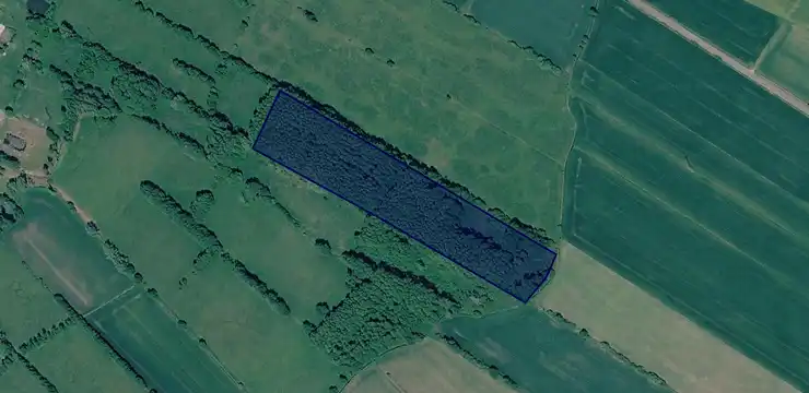 Działka na sprzedaż - KUJAWSKO-POMORSKIE, świecki, Dragacz, Grupa 345/9