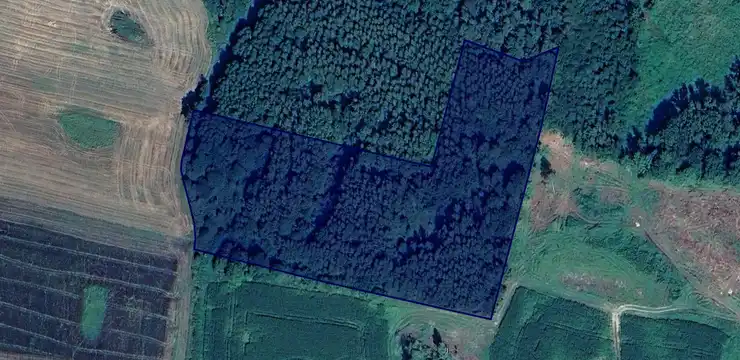 Działka na sprzedaż - WARMIŃSKO-MAZURSKIE, braniewski, Lelkowo, Dębowiec 150/1