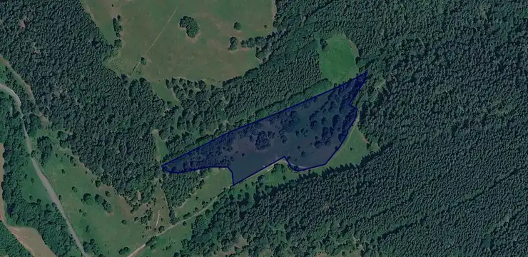 Działka na sprzedaż - DOLNOŚLĄSKIE, kłodzki, Bystrzyca Kłodzka, Poręba Lasy 68