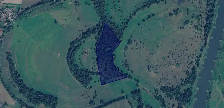 Działka na sprzedaż - DOLNOŚLĄSKIE, lubiński, Ścinawa, Lasowice 384