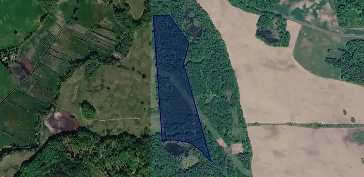 Działka na sprzedaż - ZACHODNIOPOMORSKIE, szczecinecki, Borne Sulinowo, Dąbrowica 3
