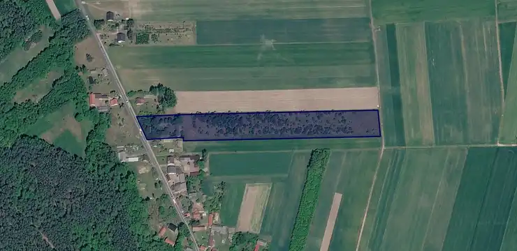Działka na sprzedaż - ŁÓDZKIE, piotrkowski, Ręczno, 02 - Będzyn Zbyłowice 221
