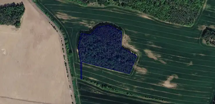 Działka na sprzedaż - LUBUSKIE, sulęciński, Sulęcin, Wielowieś 301/1