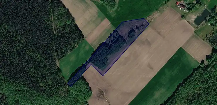 Działka na sprzedaż - DOLNOŚLĄSKIE, oleśnicki, Międzybórz, Dziesławice 154/2