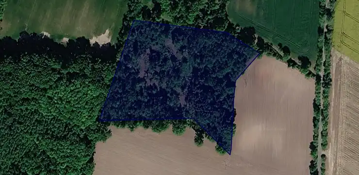 Działka na sprzedaż - WIELKOPOLSKIE, obornicki, Rogoźno, Owieczki 40/1