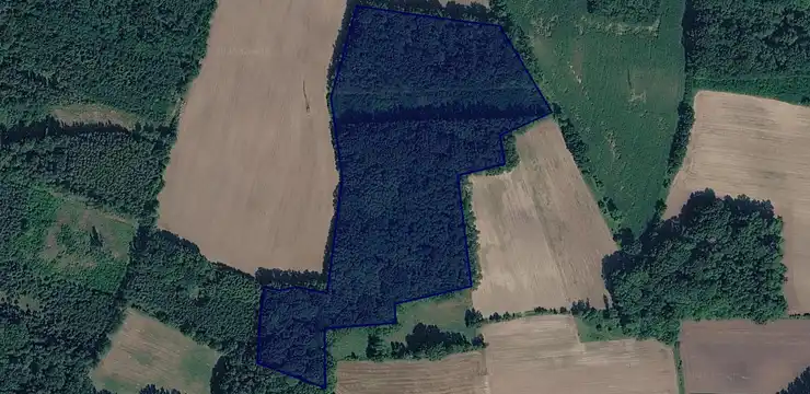 Działka na sprzedaż - LUBUSKIE, nowosolski, Bytom Odrzański, Bodzów 3/4