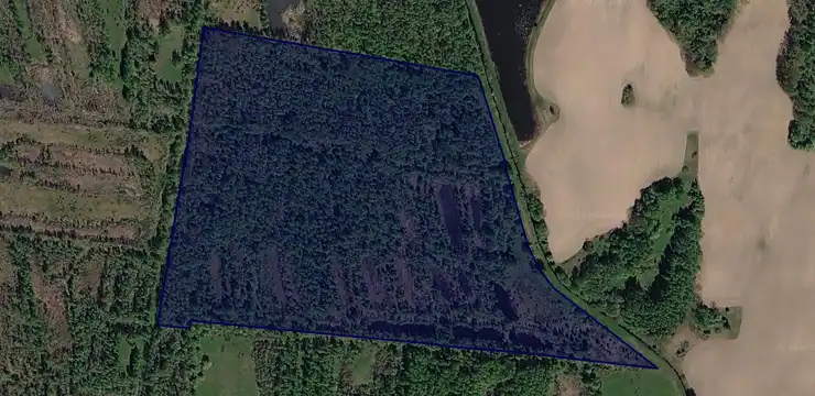 Działka na sprzedaż - WARMIŃSKO-MAZURSKIE, działdowski, Rybno, Koszelewki 379