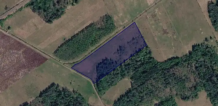 Działka na sprzedaż - PODLASKIE, hajnowski, Narewka, Mikłaszewo 869