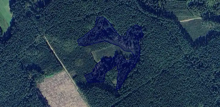 Działka na sprzedaż - KUJAWSKO-POMORSKIE, świecki, Osie, Nadl Sarnia Góra 303