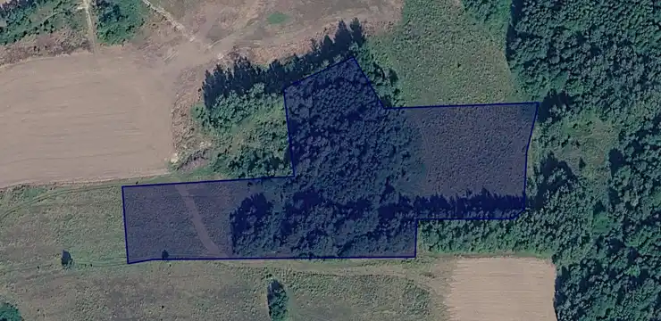 Działka na sprzedaż - DOLNOŚLĄSKIE, zgorzelecki, Sulików, Bierna 461/1