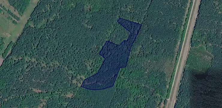 Działka na sprzedaż - ŚWIĘTOKRZYSKIE, konecki, Słupia Konecka, Zaostrów 1163/2