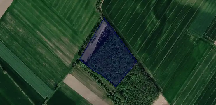 Działka na sprzedaż - DOLNOŚLĄSKIE, oleśnicki, Dziadowa Kłoda, Lipka 355/3