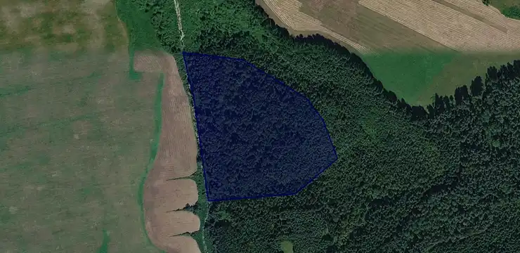 Działka na sprzedaż - WARMIŃSKO-MAZURSKIE, szczycieński, Dźwierzuty, Rybno 17