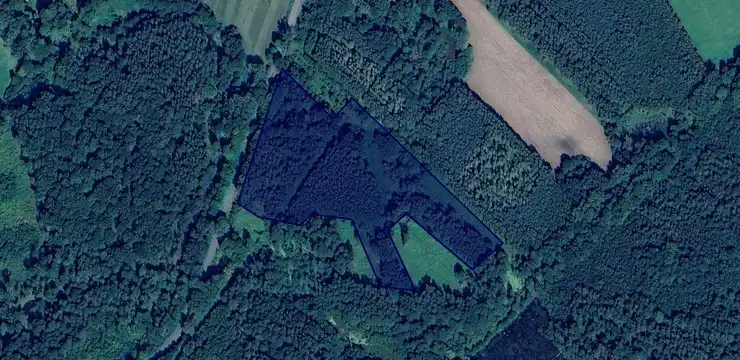 Działka na sprzedaż - WARMIŃSKO-MAZURSKIE, braniewski, Lelkowo, Wilknity 199