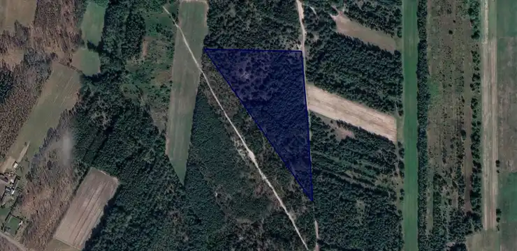 Działka na sprzedaż - MAZOWIECKIE, kozienicki, Głowaczów, Zieleniec 259