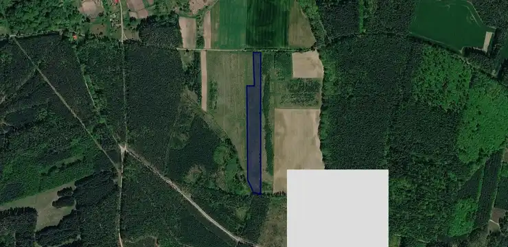Działka na sprzedaż - ZACHODNIOPOMORSKIE, gryfiński, Widuchowa, Rynica 202/2