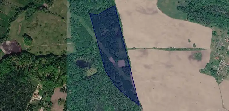 Działka na sprzedaż - ZACHODNIOPOMORSKIE, szczecinecki, Borne Sulinowo, Dąbrowica 381