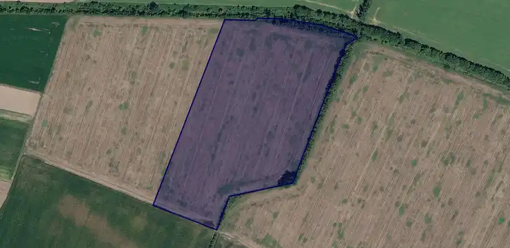 Działka na sprzedaż - OPOLSKIE, strzelecki, Leśnica, Lichynia 834/2